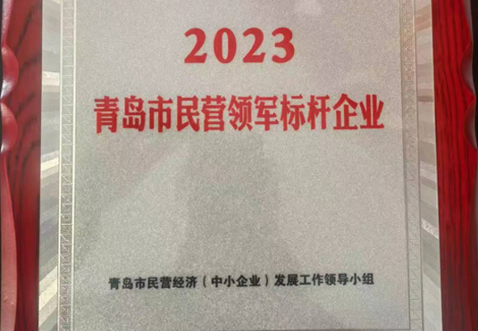 青島市民營領(lǐng)軍標(biāo)桿企業(yè)